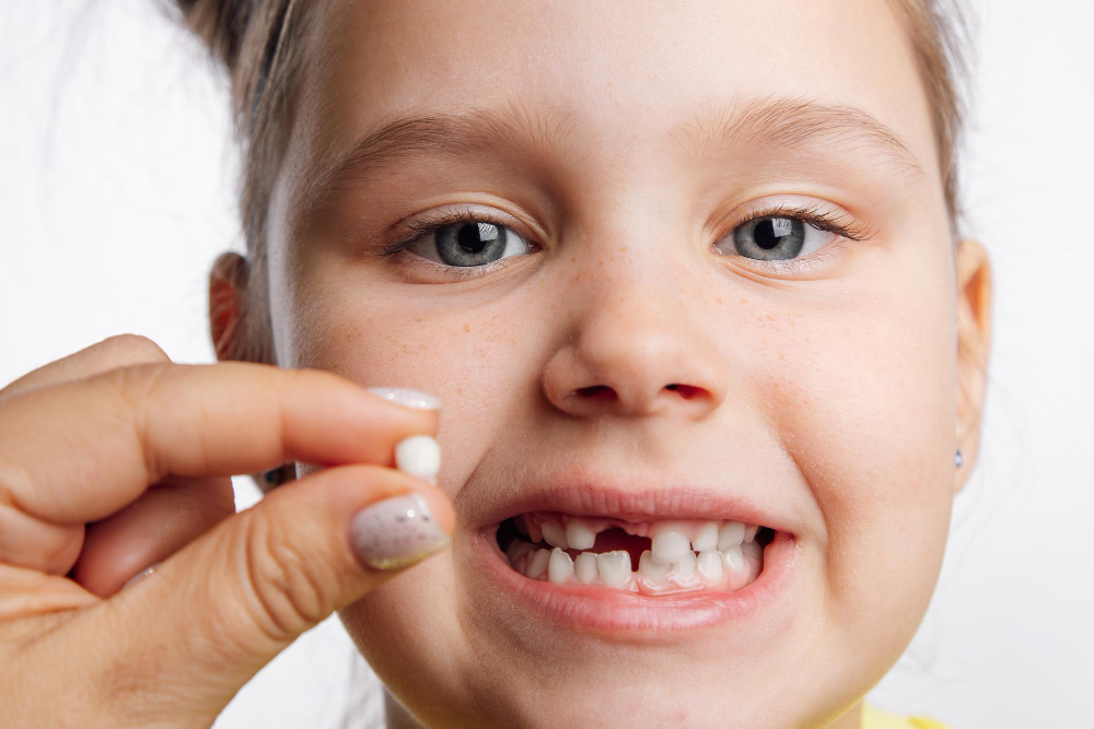 Nombres de los dientes de leche