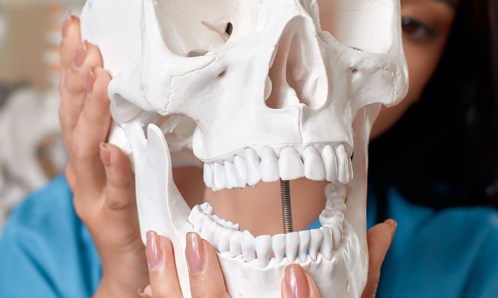 Comprensión De La Rotación De La Mandíbula 1 Explorando la Estructura y Función de la Articulación Temporomandibular