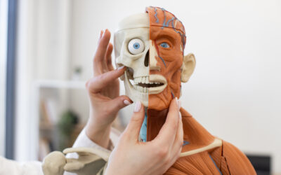 Tensión Muscular Facial: Causas y Técnicas de Alivio